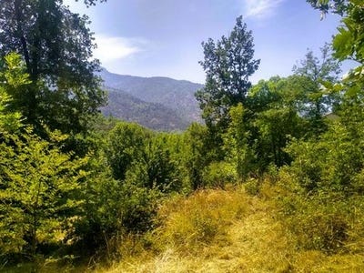 /international/fr/clara-villerach-languedoc-roussillon-310101381564/?lang=es