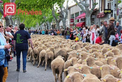 /international/fr/saint-martin-de-crau-provence-alpes-cote-d-azur-310108429540/