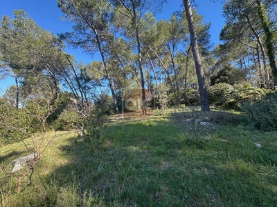 /international/fr/saint-clement-de-riviere-languedoc-roussillon-310098949629/