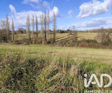 /international/fr/montesquieu-guittaut-midi-pyrenees-310105922110/