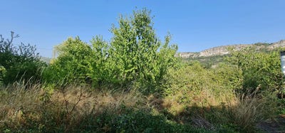 /international/fr/aubenas-rhone-120088973943/