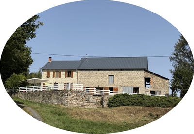 /international/fr/gouttieres-auvergne-310102205326/
