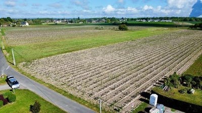 /international/fr/savigny-en-veron-centre-val-de-loire-310107446650/
