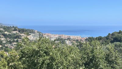 /international/fr/menton-provence-alpes-cote-d-azur-310101085464/