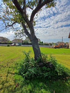/international/fr/labastide-cezeracq-aquitaine-310107555188/