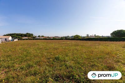 /international/fr/cravans-charente-310103177438/