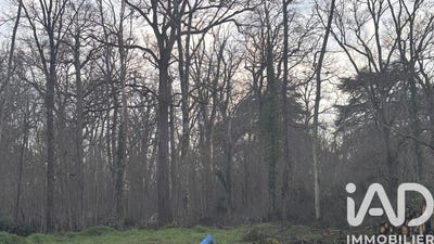 /international/fr/saint-hilaire-de-court-centre-val-de-loire-310105429813/