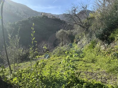 /international/fr/gorbio-provence-alpes-cote-d-azur-310107840114/