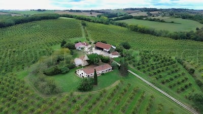 /international/fr/roquefort-languedoc-roussillon-310110283537/