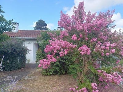 /international/fr/chalais-charente-310101382864/?lang=de