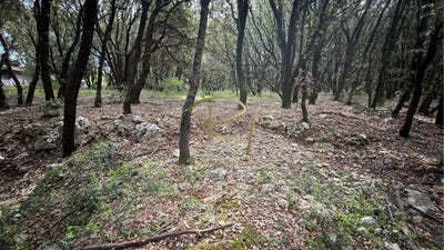 /international/fr/orgnac-l-aven-rhone-310101230411/?lang=zh-cn