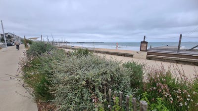 /international/fr/pornichet-pays-de-la-loire-310109266368/