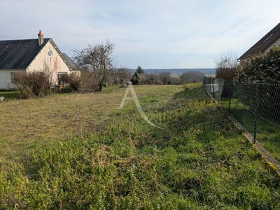 /international/fr/onzain-centre-val-de-loire-310104474904/