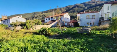 /international/fr/vinca-languedoc-roussillon-310106189683/