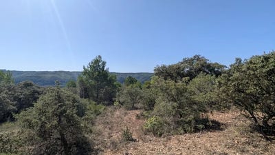 /international/fr/brunet-provence-alpes-cote-d-azur-310101247713/