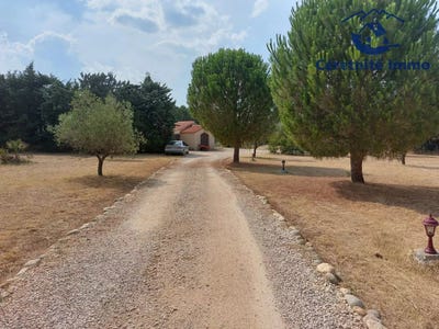 /international/fr/ceret-languedoc-roussillon-310108789214/