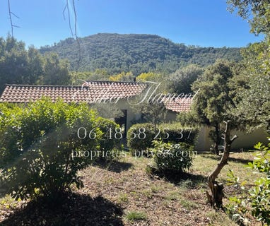 /international/fr/saint-jean-du-pin-languedoc-roussillon-310110394962/
