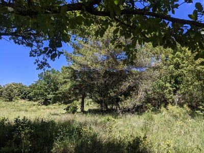 /international/fr/baudinard-sur-verdon-provence-alpes-cote-d-azur-310108602623/