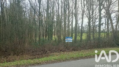 /international/fr/saint-junien-limousin-310105648297/