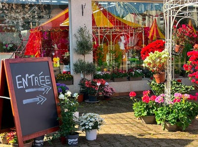 /international/fr/vierzon-centre-val-de-loire-310101205878/
