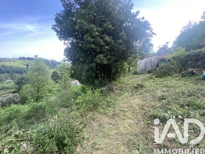 /international/fr/aulas-languedoc-roussillon-310105649603/