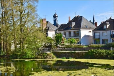 /international/fr/sully-sur-loire-centre-val-de-loire-310098893886/