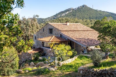 /international/fr/sainte-lucie-de-porto-vecchio-corsica-310102126353/