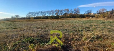 /international/fr/montady-languedoc-roussillon-310104045480/
