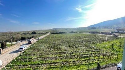 /international/fr/riquewihr-alsace-310106690112/