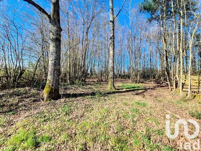 /international/fr/saint-firmin-des-bois-centre-val-de-loire-310106064341/
