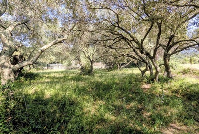 /international/fr/sorede-languedoc-roussillon-310120048796/