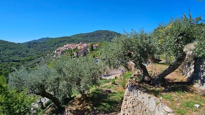 /international/fr/claviers-provence-alpes-cote-d-azur-310101173868/
