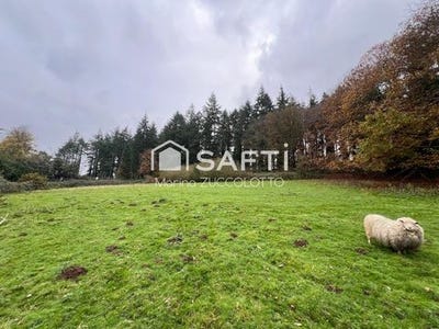 /international/fr/meneac-brittany-310102990914/