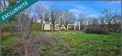 /international/fr/vegennes-limousin-310104920297/
