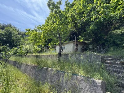 /international/fr/sainte-agnes-rhone-310108732749/?lang=pt