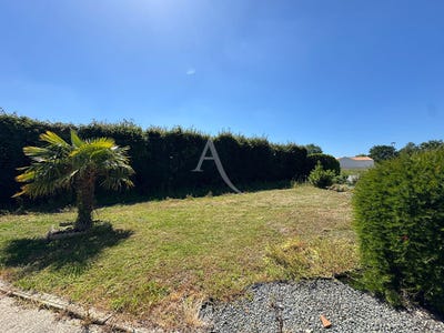/international/fr/le-fenouiller-pays-de-la-loire-310108321356/