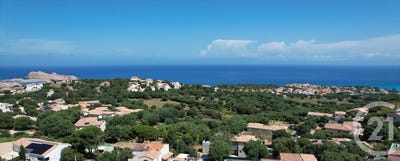 /international/fr/monticello-corsica-310110161322/