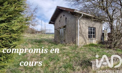 /international/fr/hadol-lorraine-310106822377/