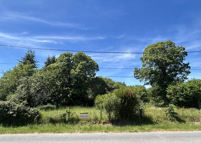 /international/fr/aubigny-sur-nere-centre-val-de-loire-310108292855/