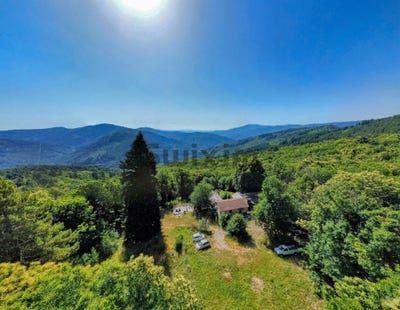 /international/fr/le-collet-de-deze-languedoc-roussillon-310103086652/