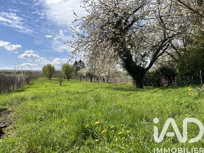 /international/fr/ay-champagne-ardennes-310106793020/