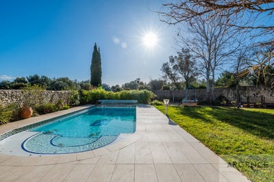 /international/fr/castries-languedoc-roussillon-310107598619/