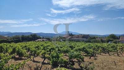 /international/fr/saint-maurice-sur-eygues-rhone-310100699360/