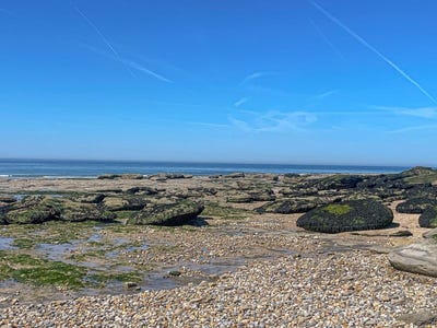 /international/fr/audresselles-calais-310107415036/