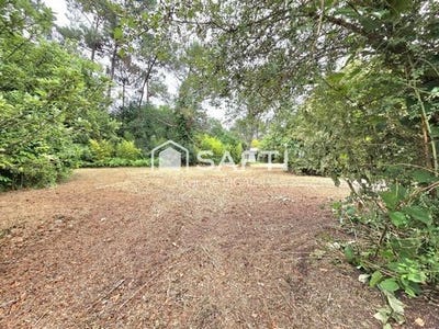 /international/fr/reignac-aquitaine-310108842188/