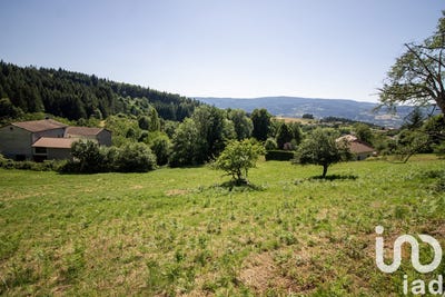 /international/fr/saint-martin-des-olmes-auvergne-310101082186/
