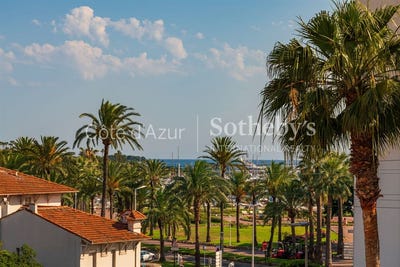 /international/fr/cannes-provence-alpes-cote-d-azur-310109014794/