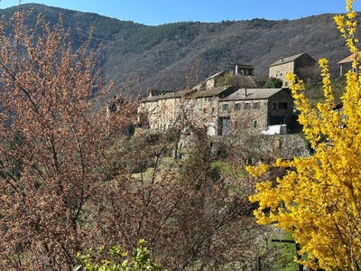 /international/fr/sablieres-rhone-310106236884/