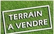 /international/fr/coex-pays-de-la-loire-310099618124/