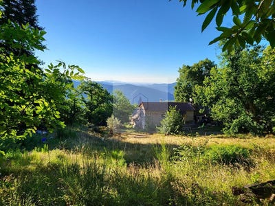 /international/fr/le-collet-de-deze-languedoc-roussillon-310102609356/